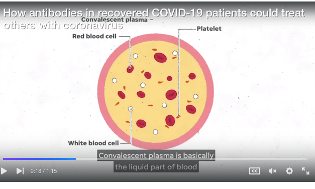 Screenshot 2020-04-28 at 9.44.06 AM